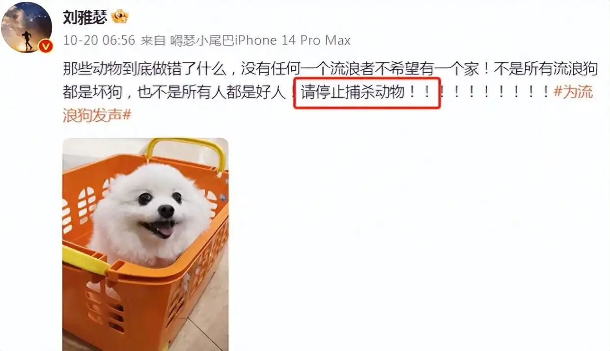明星为狗发声争议_狗年明星热点,_刘雅瑟杨迪言论被禁